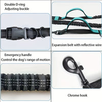 HKM-6735421 Hands-Free Dog Leash with Adjustable Waist Belt for Active Walking and Running