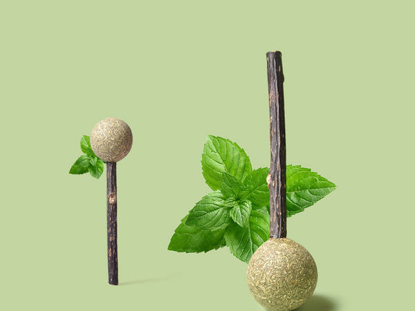 HKM-6735549 Catnip Lollipop Toy for Cats ¨C Organic Catnip Molar Stick