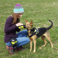 HKM-6736189 Large-Capacity Dog Training Belt Bag in Orange or Green - Comfortable, Sturdy, Breathable Material with Oxford Cloth and Net