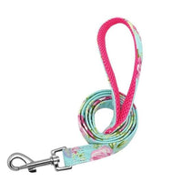 HKM-6739517 Durable Nylon Dog Leash for Personalized Dog Collars