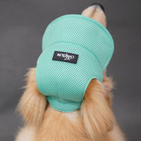 HKM-6744253 Breathable Summer Dog Hat for Golden Retrievers - Ear Leakage Protection, Jacquard Fabric, Available in Green and Pink