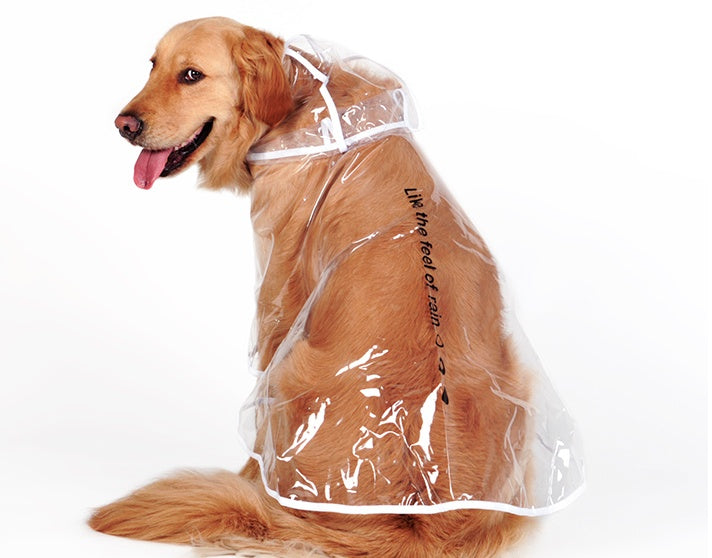 HKM-6755389 Transparent Waterproof Raincoat for Medium-Sized Dogs, 3XL to 7XL, Universal Fit, White Side Design