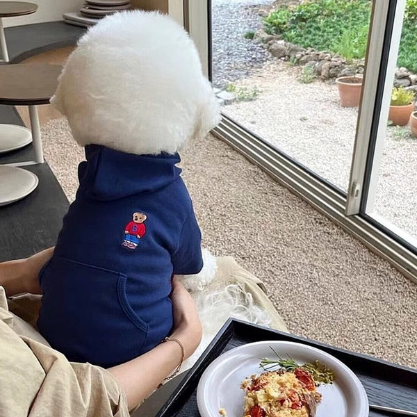 HKM-6756285 Casual Cartoon Bear Satchel Sweater for Dogs - Dark Blue, Gray, Yellow, Red, Pure White - Sizes XS to XL