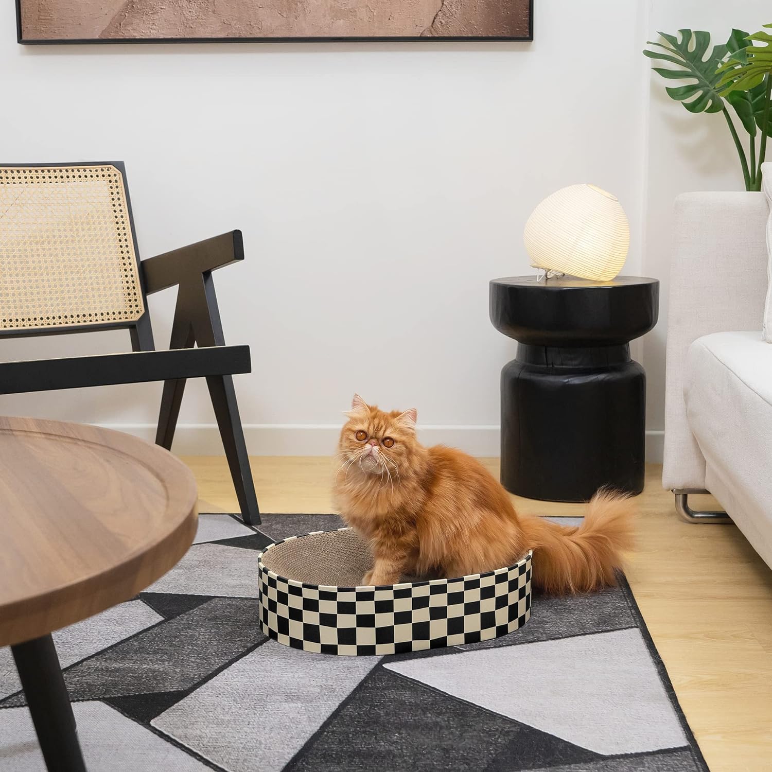 HKM-6758461 Indoor 2-in-1 Cat Scratcher and Nest Bowl - Cardboard Oval Design, 50.5 x 30 x 9.5 cm, Lightweight 2.5 kg