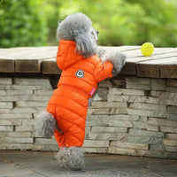HKM-6759357 Cozy Cotton Winter Coats for Small Dogs - Bichon, Pomeranian, and More