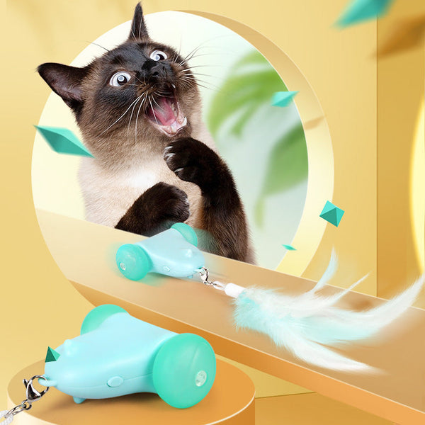 HKM-676179 Cat Toy Smart Torque
