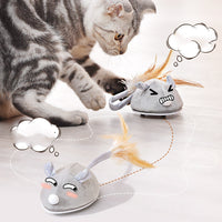 HKM-6767549 USB Rechargeable Crawling Mouse Cat Toy - Biting Toy for Interactive Play