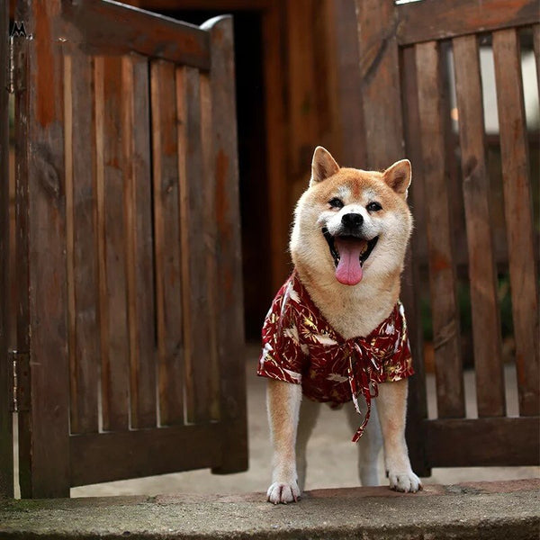 HKM-6770877 Japanese Style Dog Kimono Shirt for Pets - Comfortable Summer Fashion T-Shirt in Blue and Red