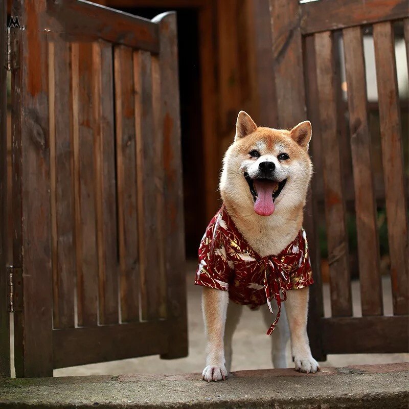 HKM-6770877 Japanese Style Dog Kimono Shirt for Pets - Comfortable Summer Fashion T-Shirt in Blue and Red