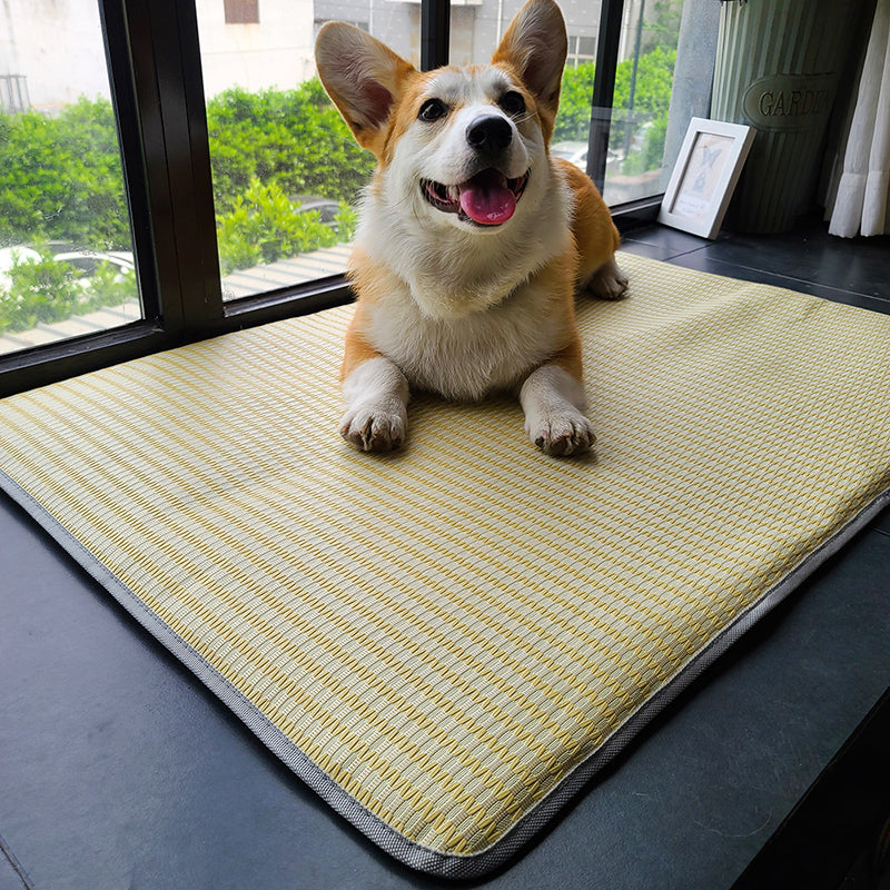 HKM-6771133 Ice Silk Summer Dog Mat - Anti-Bite, Non-Stick Hair Cat Mattress - Available in Multiple Sizes