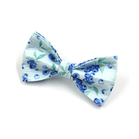 HKM-6772285 Blueberry Print Pet Chest Harness and Leash Set, Polyester Material, Multiple Sizes Available