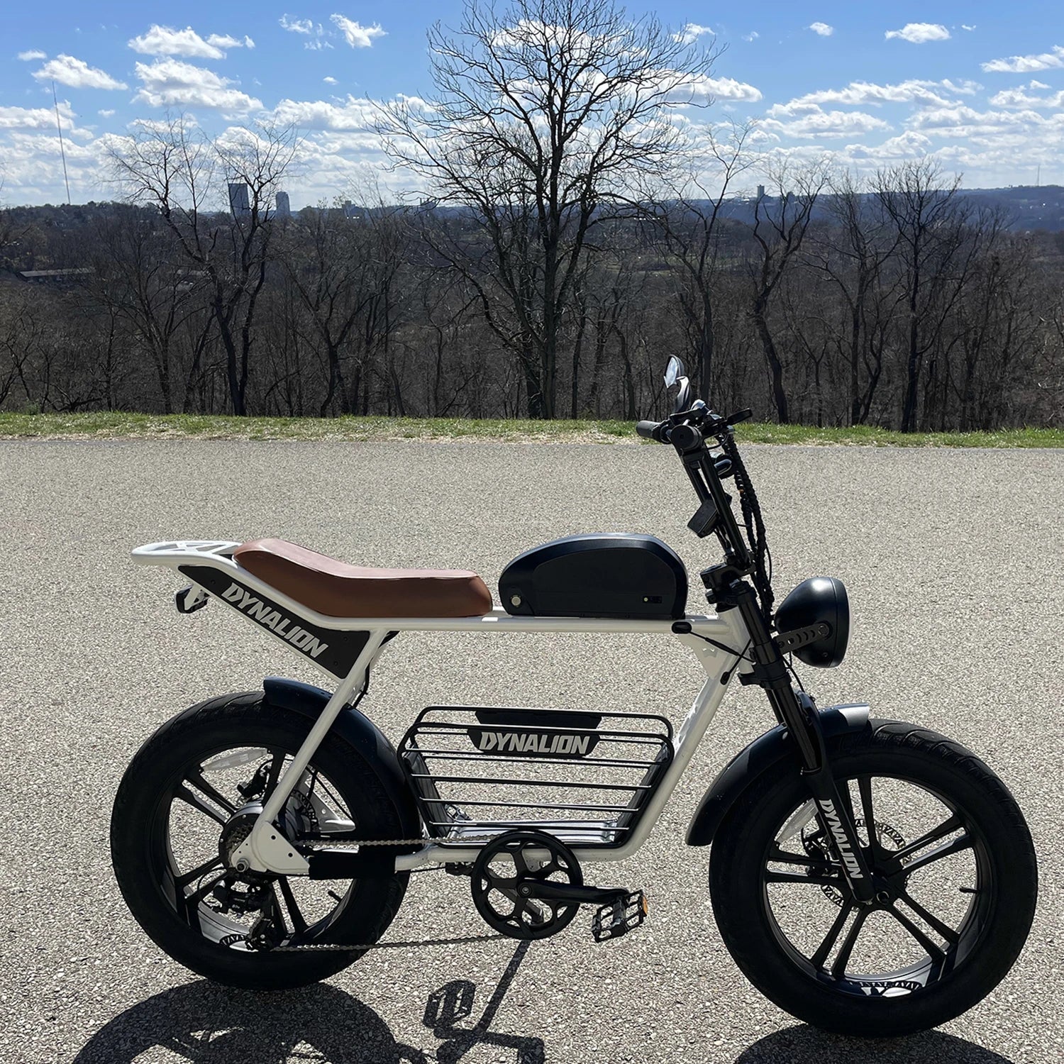 HKM-677651 20" Electric Mountain Bike with 1000W Motor, 48V 16Ah Battery, and 7-Speed Gears for Adults