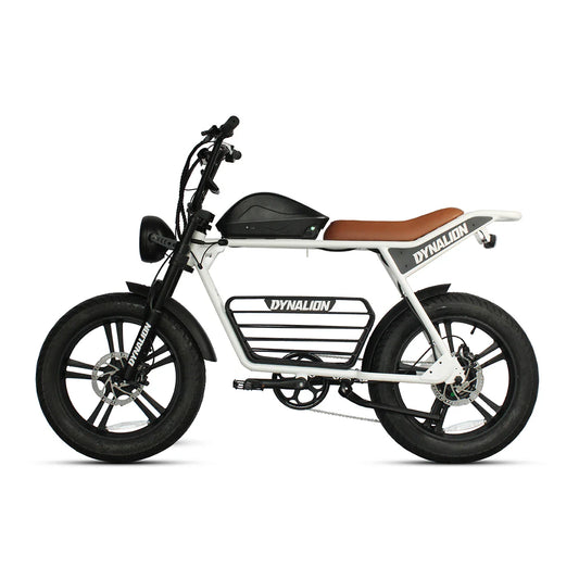 HKM-677651 20" Electric Mountain Bike with 1000W Motor, 48V 16Ah Battery, and 7-Speed Gears for Adults