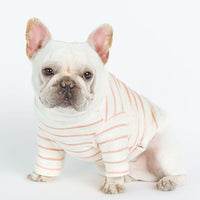 HKM-6778045 Casual Cotton T-Shirt for Dogs in Water Ripple Toweling - Available in Pink and Yellow
