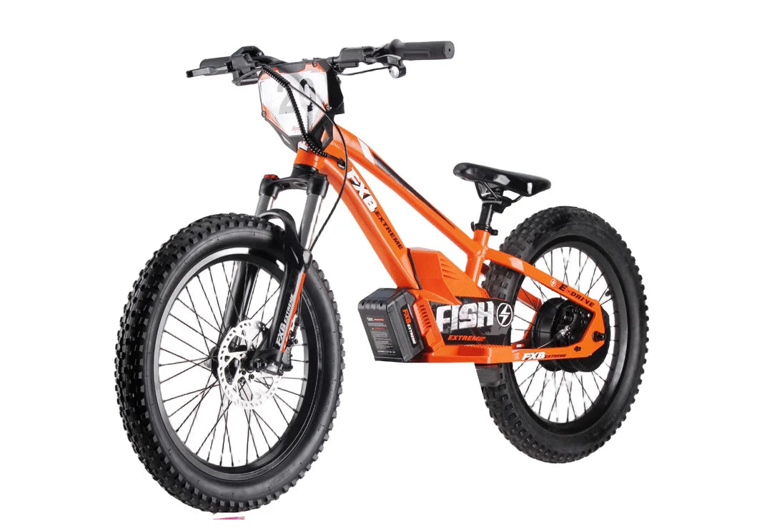 HKM-678291 20 Inch Hydraulic Adjustable Aluminum Alloy Electric Balance Bike with Lithium Battery and Disc Brakes