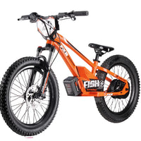 HKM-678291 20 Inch Hydraulic Adjustable Aluminum Alloy Electric Balance Bike with Lithium Battery and Disc Brakes