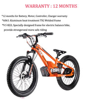 HKM-678291 20 Inch Hydraulic Adjustable Aluminum Alloy Electric Balance Bike with Lithium Battery and Disc Brakes