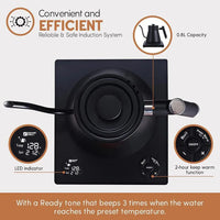 HKM-678483 Stainless Steel Gooseneck Kettle with Temperature Control for Precise Boiling and Pouring