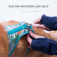 HKM-6793533 Wearable Explosion-Proof Dog Leash for Mid and Large Breeds - Precision Weaving Design