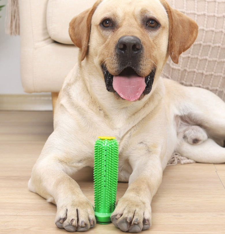 HKM-6794557 Durable TPR Chew Toy Leak Feeder - Cactus Design for Teething Pets in Two Sizes
