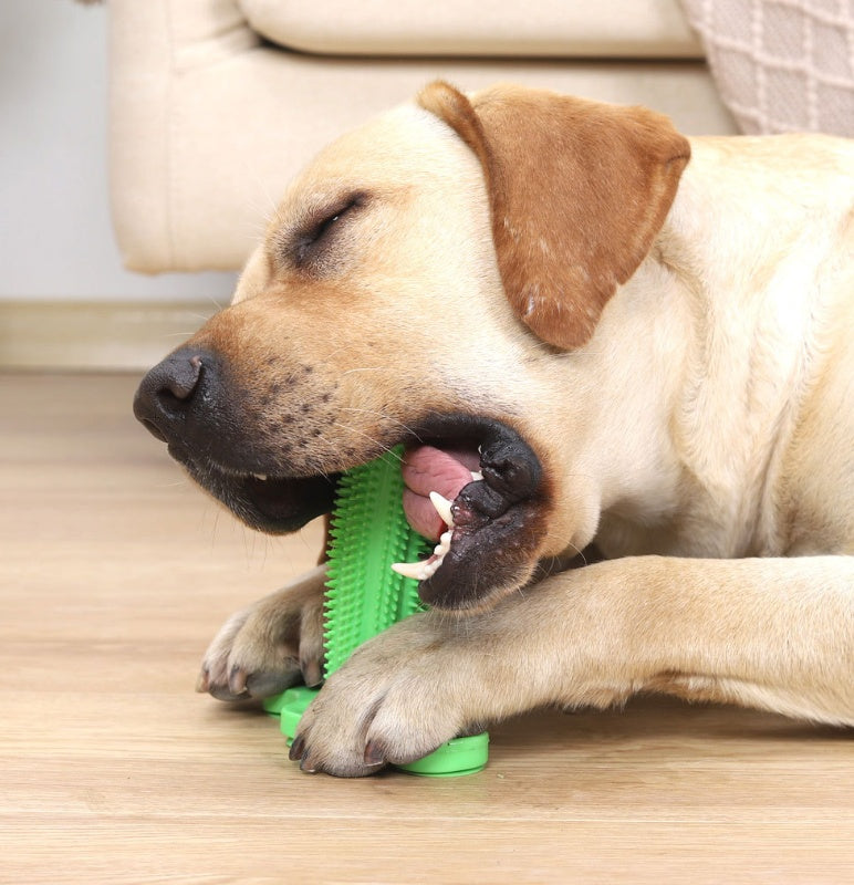 HKM-6794557 Durable TPR Chew Toy Leak Feeder - Cactus Design for Teething Pets in Two Sizes
