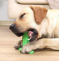 HKM-6794557 Durable TPR Chew Toy Leak Feeder - Cactus Design for Teething Pets in Two Sizes