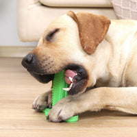 HKM-6794557 Durable TPR Chew Toy Leak Feeder - Cactus Design for Teething Pets in Two Sizes