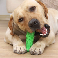 HKM-6794557 Durable TPR Chew Toy Leak Feeder - Cactus Design for Teething Pets in Two Sizes