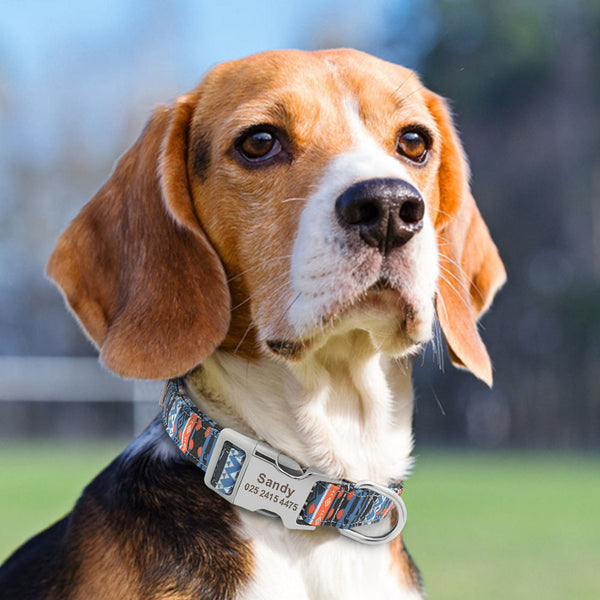 HKM-6795581 Personalized Adjustable Nylon Collar for Dogs and Cats in Various Colors and Sizes