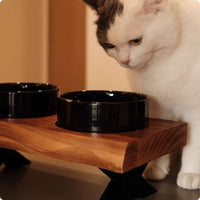 HKM-6795709 Stylish Anti-Tumble Wooden Frame Ceramic Pet Bowl Set in Various Colors
