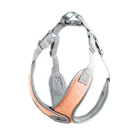 HKM-6798781 Breathable Fabric Pet Chest Strap for Small & Medium Dogs with Traction Rope in Multiple Colors
