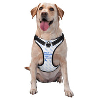 HKM-679891 Durable Oxford Cloth Pet Leash Vest for Active Dogs - Adjustable, Reflective, Breathable Design