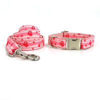 HKM-6799293 Comfortable Cloth Dog Collar and Leash Set in Multiple Sizes