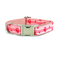HKM-6799293 Comfortable Cloth Dog Collar and Leash Set in Multiple Sizes