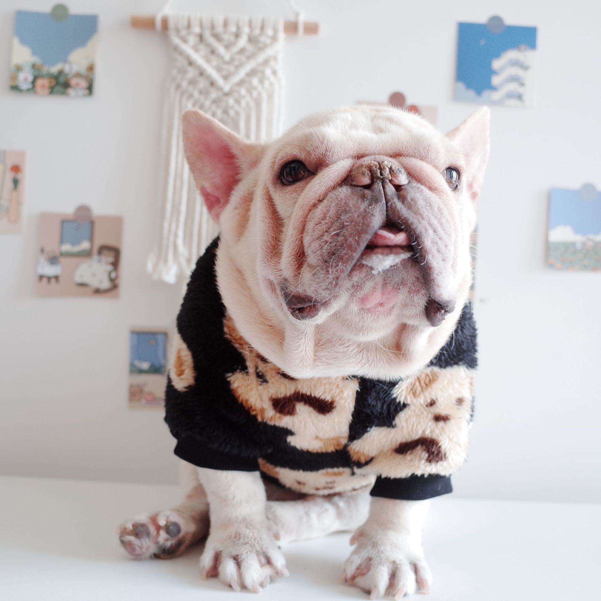 HKM-6800061 Dog Warm Plush Bear Print Two-Legged Winter Clothes in Black and White