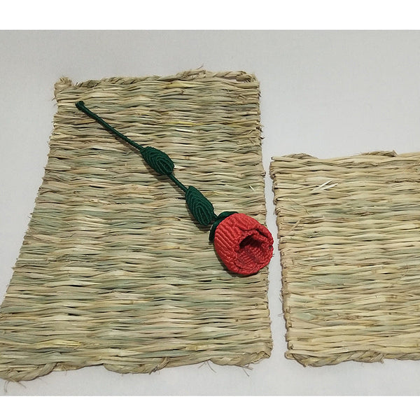 HKM-6801341 Natural Hay Mat for Rodents - Durable, Non-Toxic Straw Bed Accessory - Large & Small Sizes Available