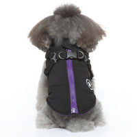 HKM-6804925 Chest Strap Cotton-Padded Jacket for Pets in Black, Blue, Green, and Red - Sizes XS to 2XL