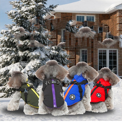 HKM-6804925 Chest Strap Cotton-Padded Jacket for Pets in Black, Blue, Green, and Red - Sizes XS to 2XL