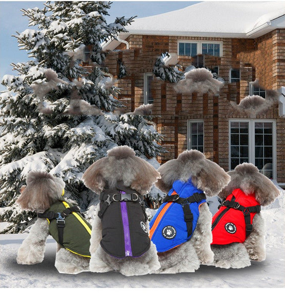 HKM-6804925 Chest Strap Cotton-Padded Jacket for Pets in Black, Blue, Green, and Red - Sizes XS to 2XL