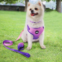 HKM-680531 Pet Dog Harness & Leash Set with Adjustable Collar and Waste Bag, Available in Gradient Colors