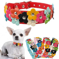 HKM-681875 Double Row Flower Pet Collar - Durable PU Floral Design with Zinc Alloy Accessories, Sizes S and M