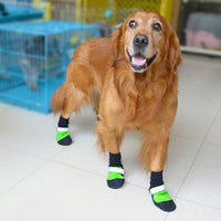 HKM-6823357 Durable Oxford Pet Shoes for All Seasons with Non-Slip Sole and Comfortable Cotton Insole