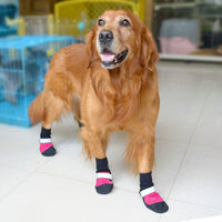 HKM-6823357 Durable Oxford Pet Shoes for All Seasons with Non-Slip Sole and Comfortable Cotton Insole