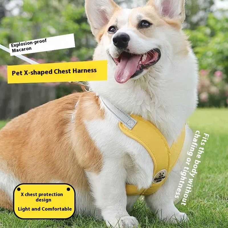 HKM-6833725 Pet Vest with Hand Holding Rope - Available in Pink, Green, Yellow, and Blue, Made of Durable Polyester