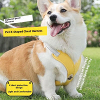 HKM-6833725 Pet Vest with Hand Holding Rope - Available in Pink, Green, Yellow, and Blue, Made of Durable Polyester