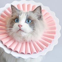 HKM-6834621 Lightweight Waterproof Cat Headgear - Adjustable Styles & Sizes for Comfort