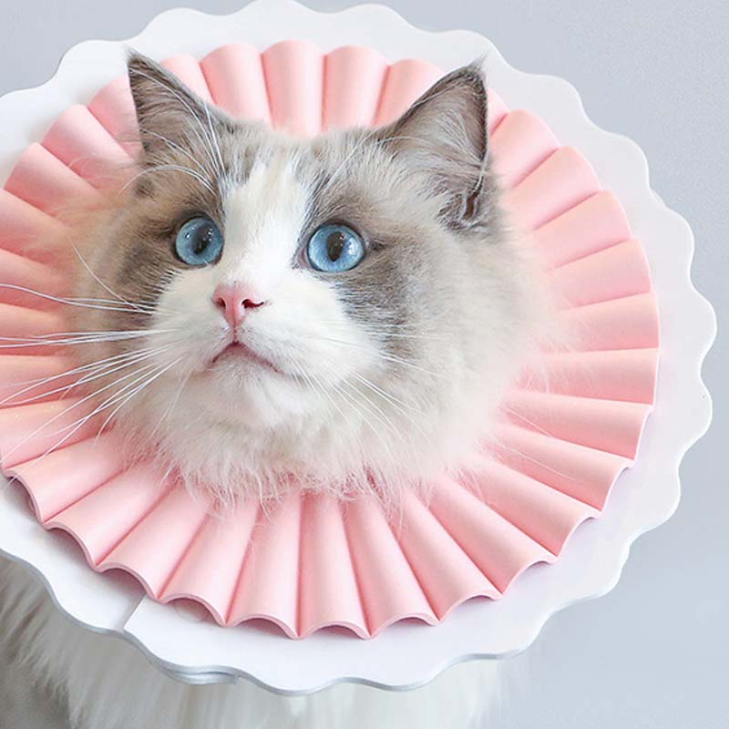 HKM-6834621 Lightweight Waterproof Cat Headgear - Adjustable Styles & Sizes for Comfort