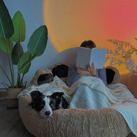 HKM-6836285 Cozy Bear's Paw Nest in Milk Tea Color - Thick PV Fleece Pet Mat with Soft PP Cotton Filling