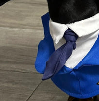 HKM-6837693 Dachshund Halloween Costume - Funny Captain & Pilot Outfits for Pets with Scarf Option