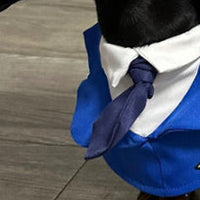 HKM-6837693 Dachshund Halloween Costume - Funny Captain & Pilot Outfits for Pets with Scarf Option